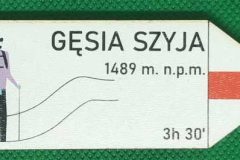 gesiaszyja